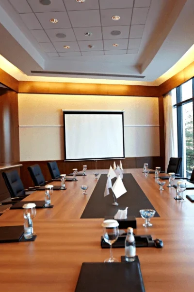 Corporate Advisory
